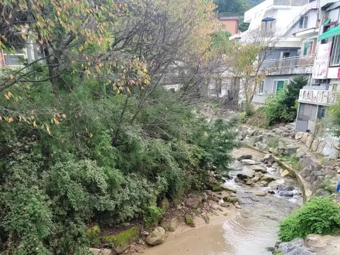 식당 주변의 계곡과 숲 풍경