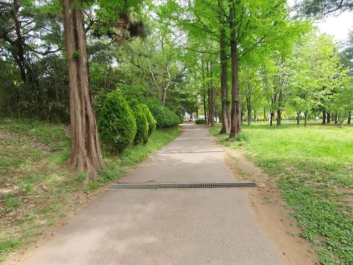 숲길이 이어지는 산책로