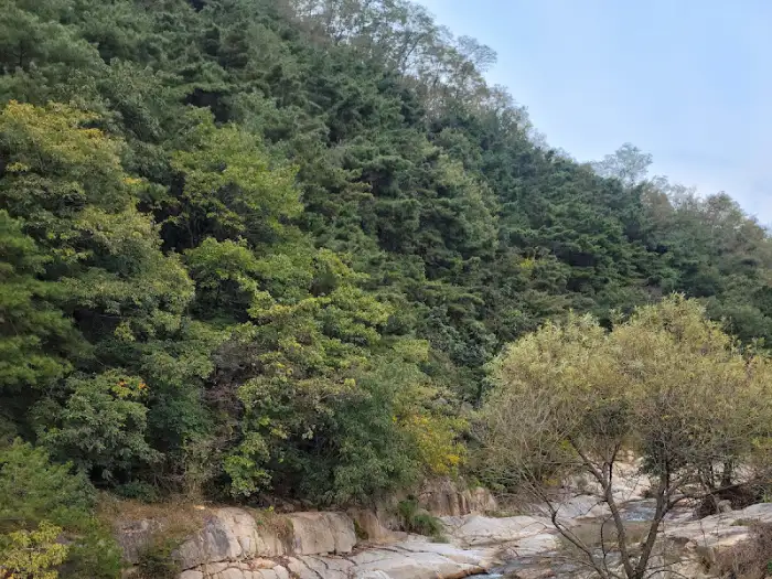 계곡과 숲이 어우러진 풍경