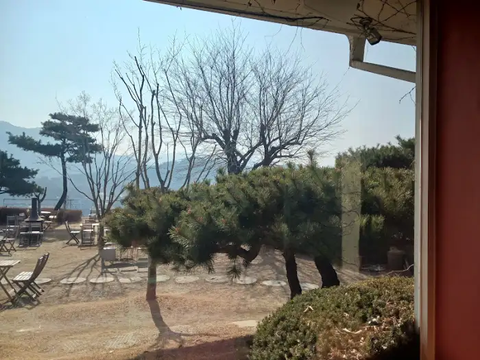 카페 내부의 야외 좌석과 나무들