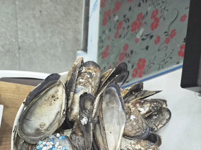 홍합 껍데기 더미 사진