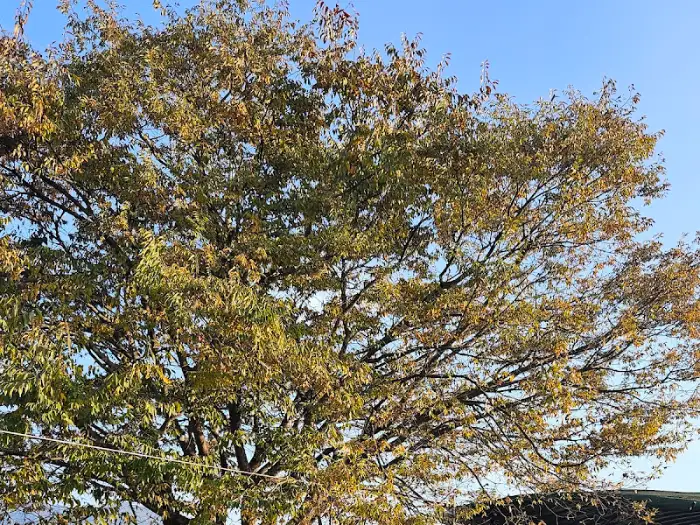 카페 앞 정원 풍경