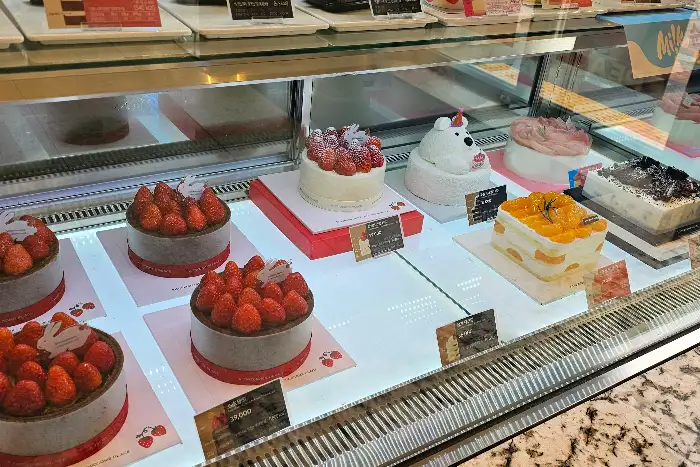 투썸플레이스 김제점 케이크 쇼케이스