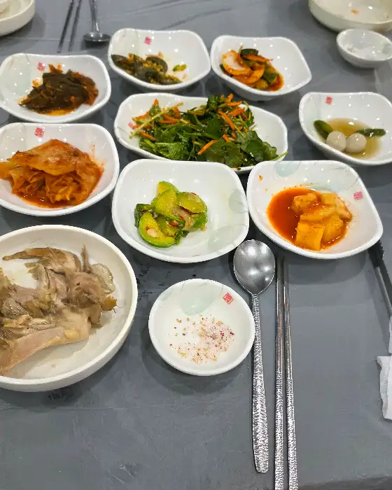 잘 익은 닭고기 한 점