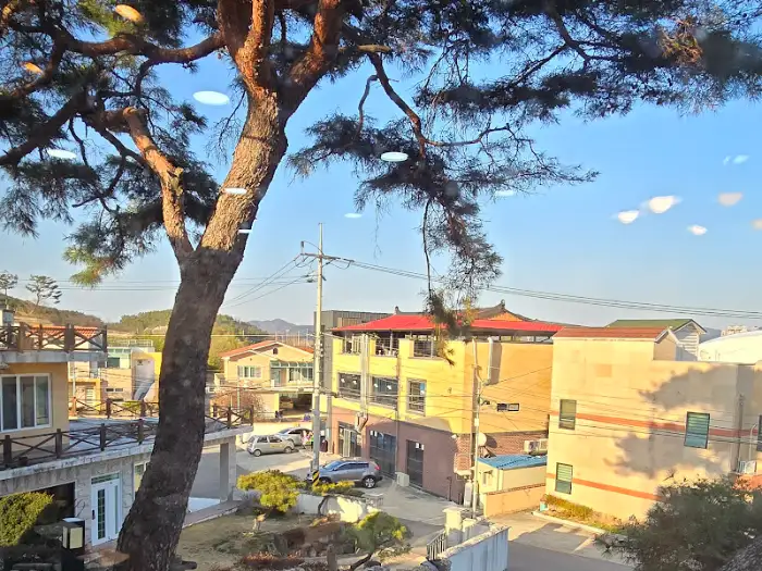 따뜻한 국물과 함께 나온 메인 요리 사진