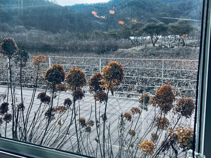 창밖으로 보이는 아름다운 자연 풍경