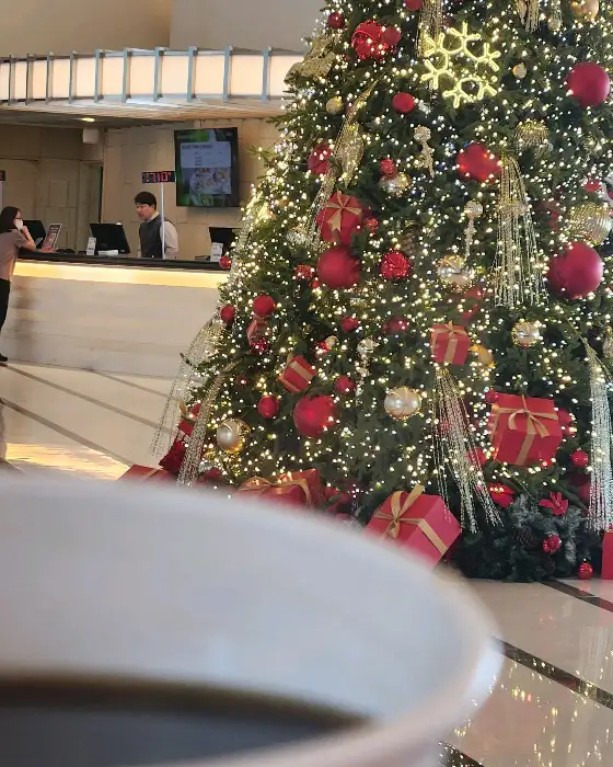 매장 안의 모습과 크리스마스 트리