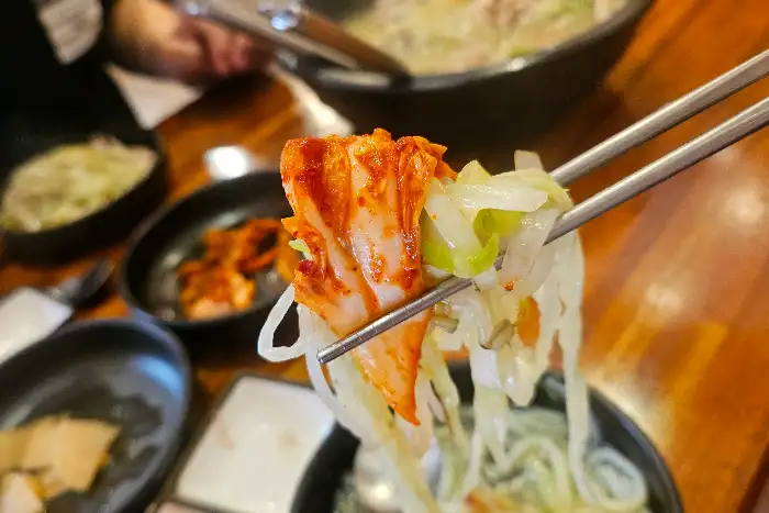 김치와 닭칼국수 면