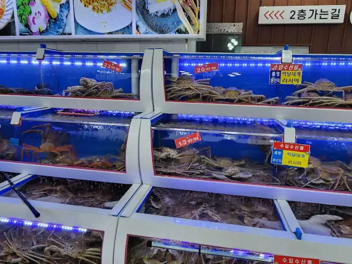 수조 안의 활기찬 대게들