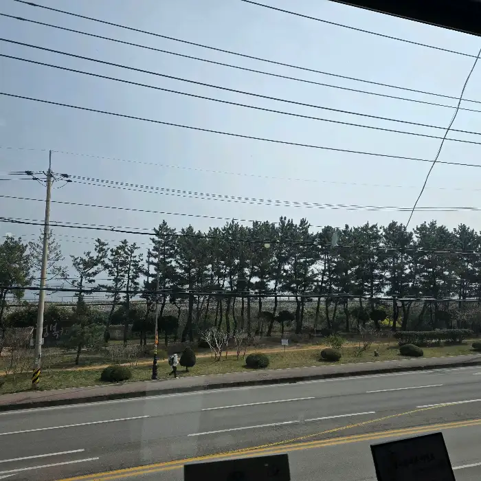 창밖으로 보이는 해변과 나무 풍경