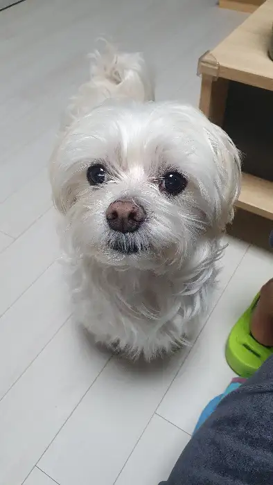 사장님.. 저 흙 씹었어요 ㅠㅠ