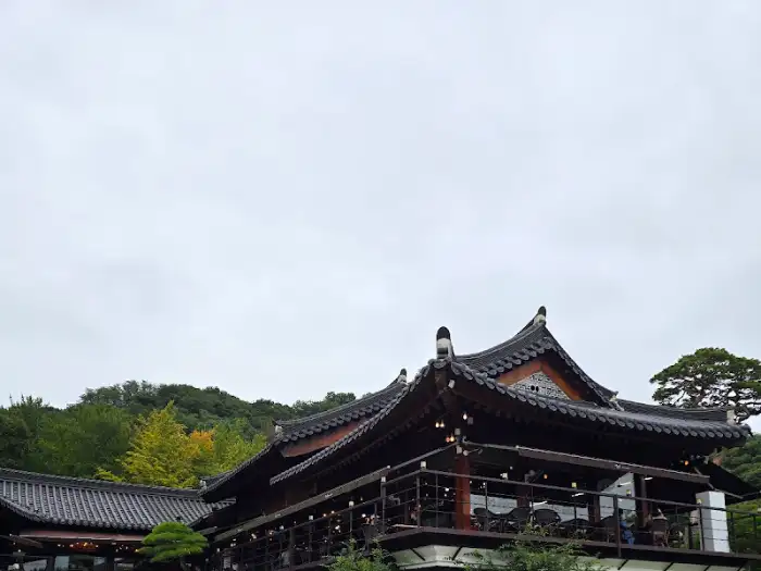 넓은 정원 풍경