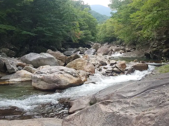 자연 속 계곡 풍경