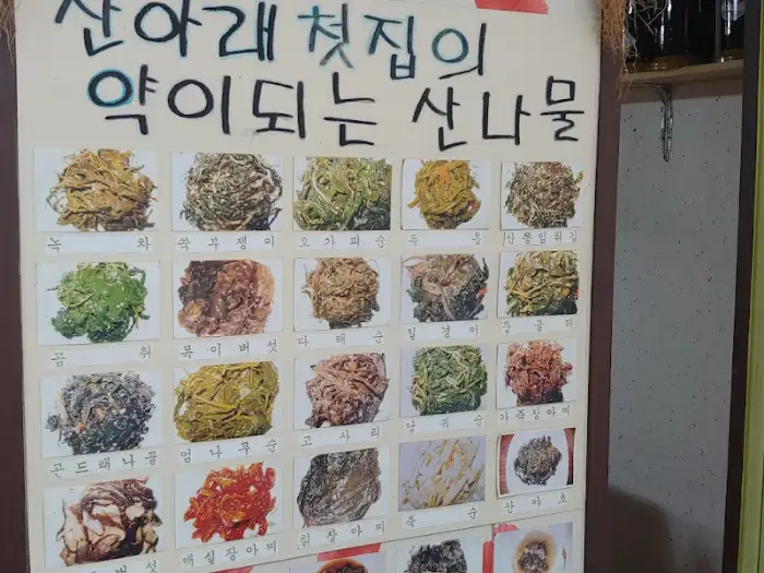산나물 종류 사진
