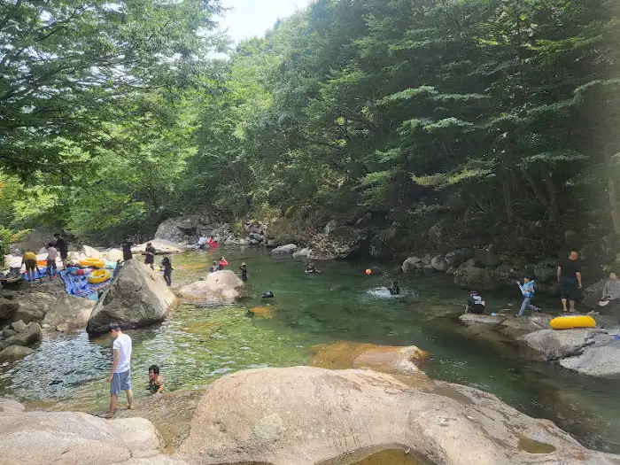 계곡에서 물놀이를 즐기는 사람들