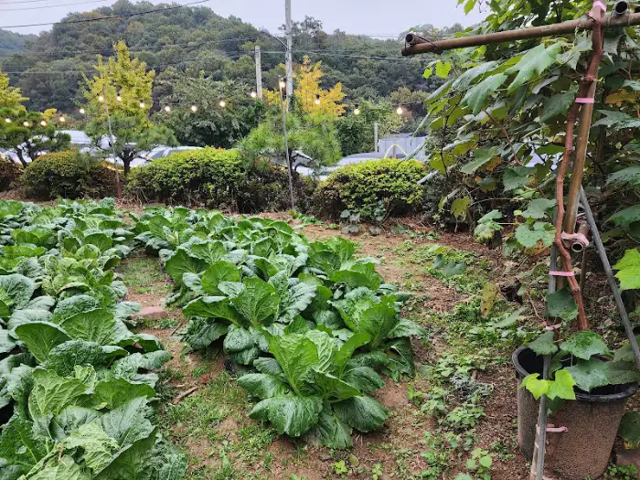 새콤달콤한 비빔국수