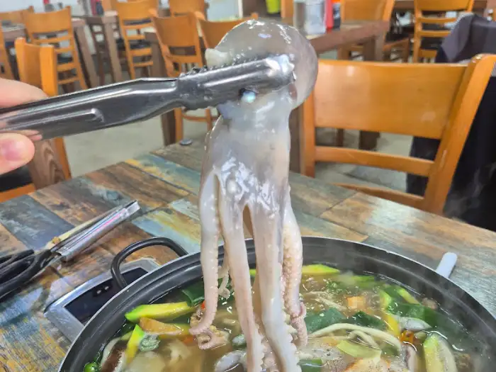 대성해물칼국수 낙지 추가, 싱싱한 낙지를 보여주는 모습