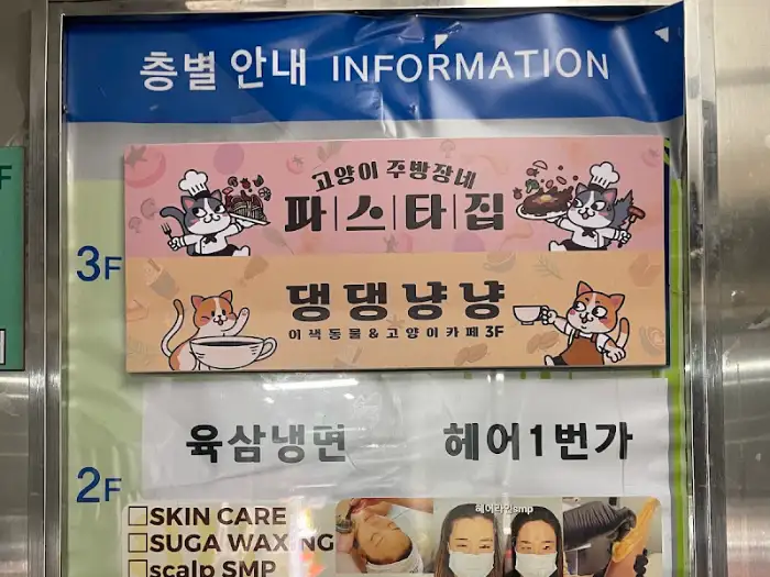 크림 파스타의 모습