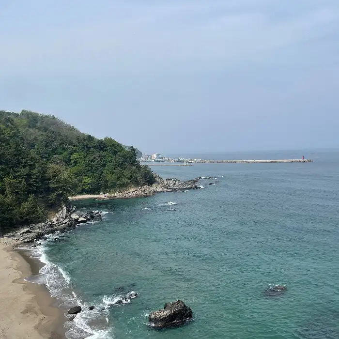 카페 오분동에서 바라본 바다 풍경