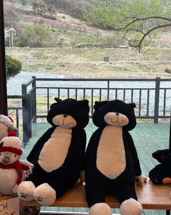 귀여운 곰 인형들