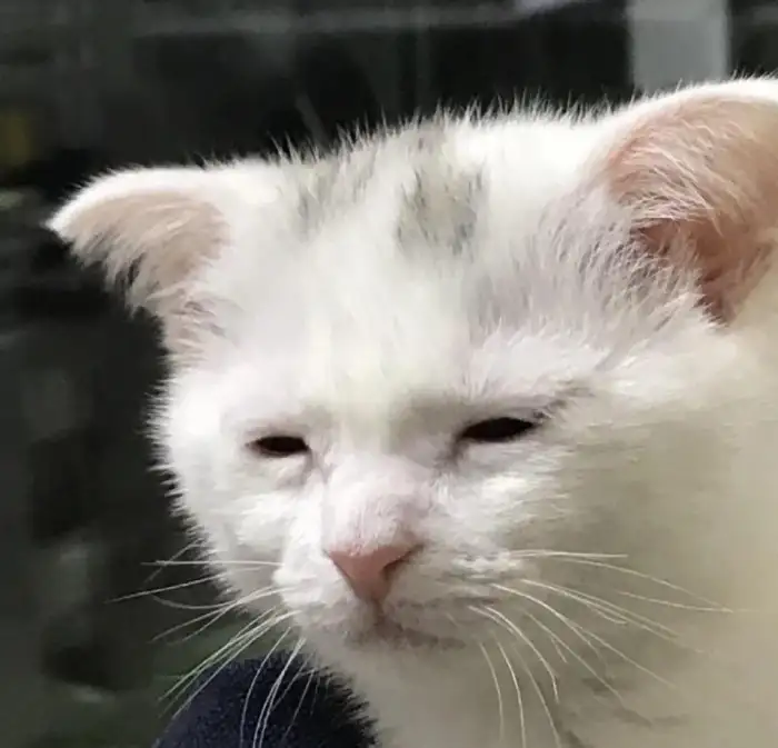 카페 내부의 커피잔과 잔디밭 풍경