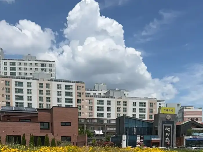 도시 풍경, 배경에 꽃밭이 보인다.