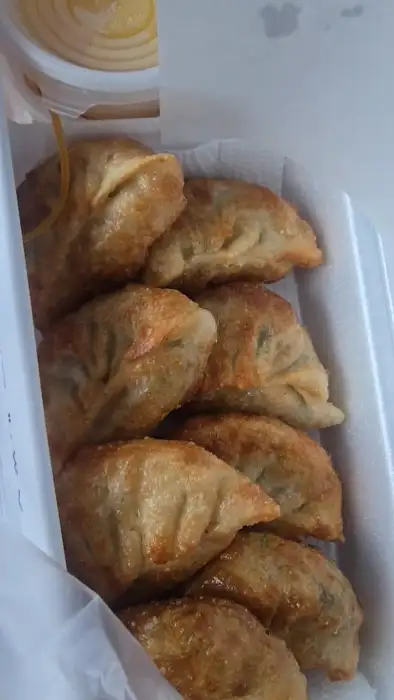 포장된 군만두