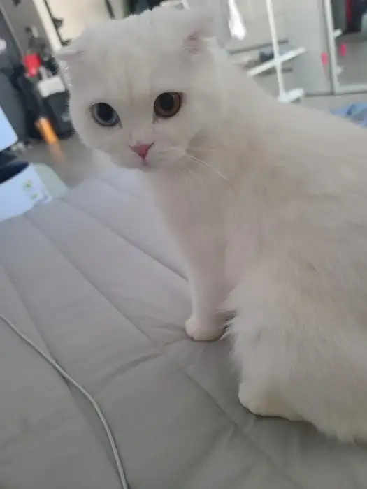 매장 내부 전경