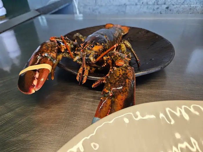 싱싱한 랍스터