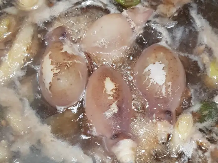 문어 숙회 끓는 모습