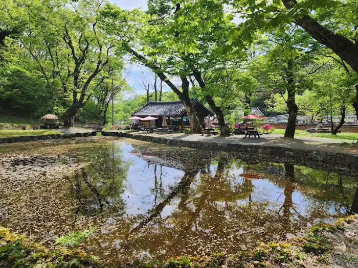 연못과 주변 풍경