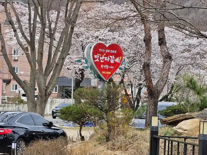 벚꽃 시즌의 식당 입구