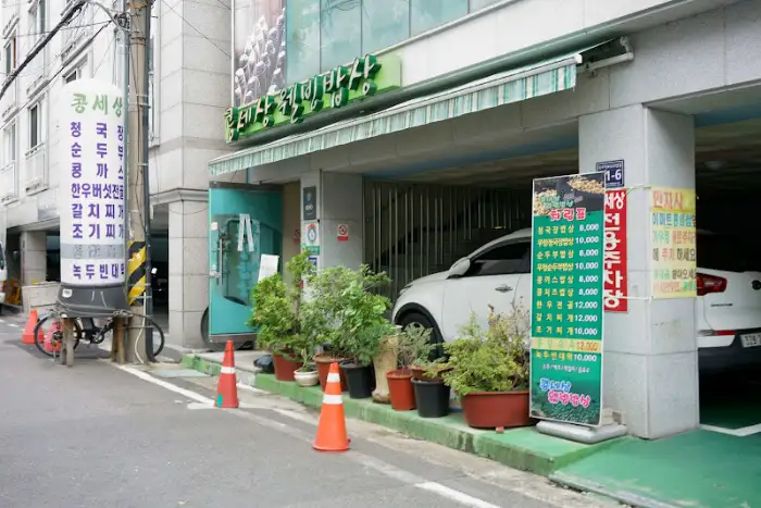 가게 입구에 놓인 식물들