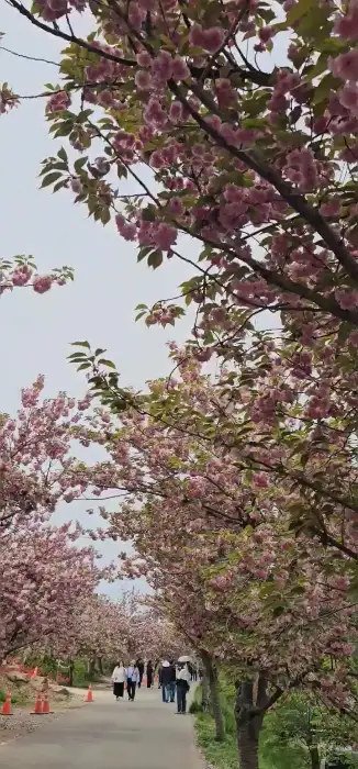 만중이네 회수산 새조개 샤브샤브