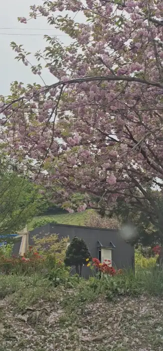 만중이네 회수산 쭈꾸미