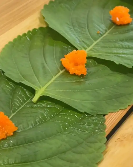 주꾸미를 싸 먹을 때 곁들이는 깻잎과 날치알, 마요네즈 조합
