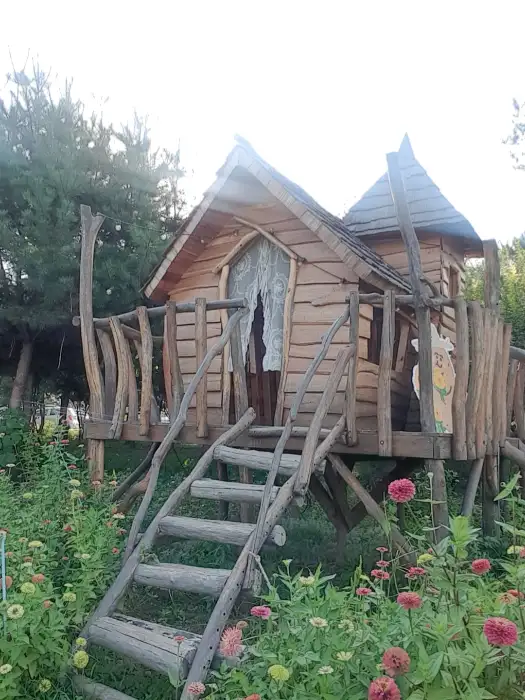산토리니 카페의 동화 같은 나무집