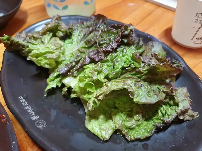 신선한 쌈 채소