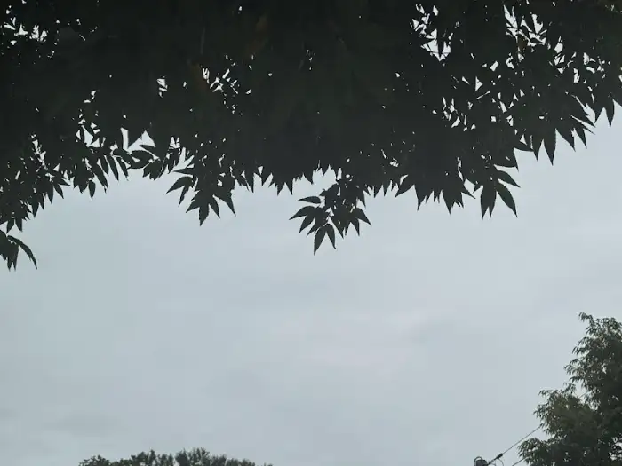양념이 잘 배인 닭불고기