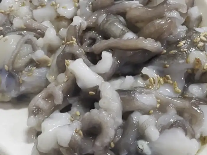 싱싱한 산낙지