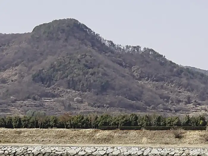 재첩 비빔밥