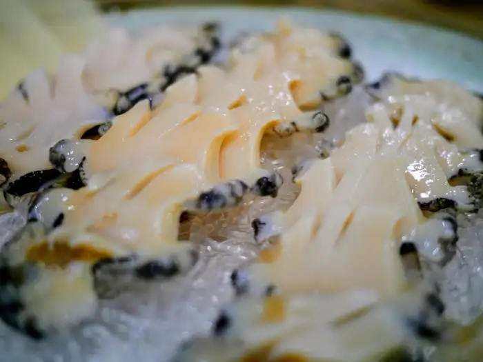 신선한 전복 회