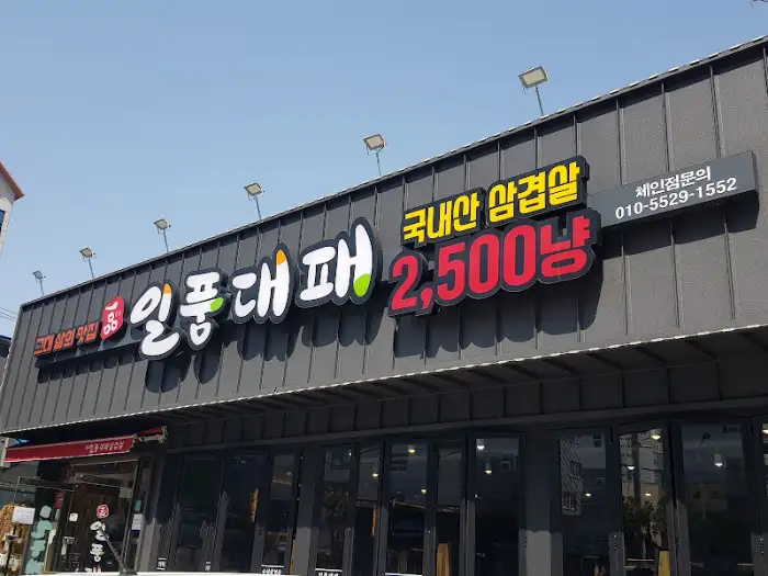 대패 삼겹살이 롤처럼 말려 있는 모습