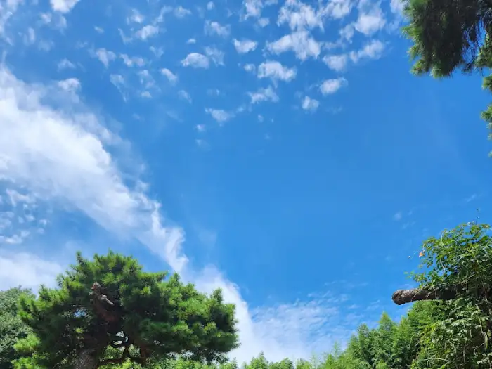 한옥 지붕과 계곡의 조화