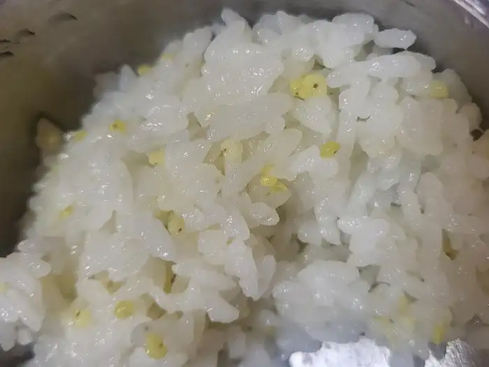갓 지은 하얀 쌀밥