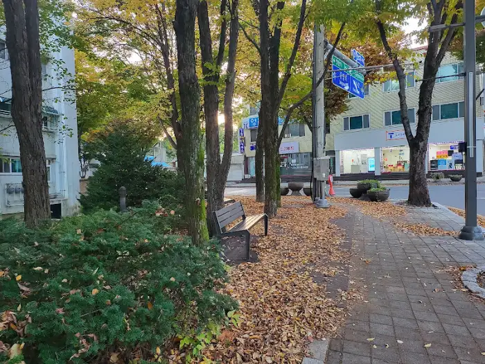 가을 거리 풍경 (추정)