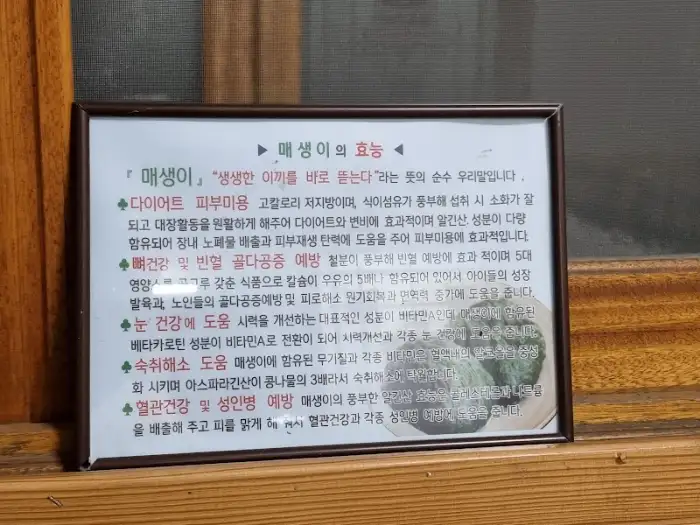 건강 정보 안내문