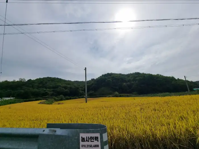 저수지와 산으로 둘러싸인 풍경