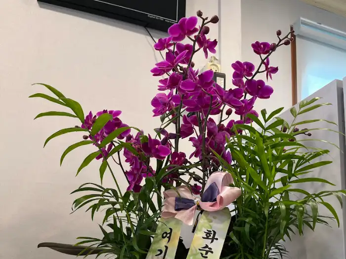 가게 입구 화분