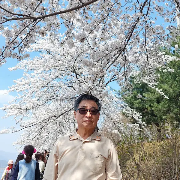 벚꽃 아래서 사진 찍는 사람들의 모습